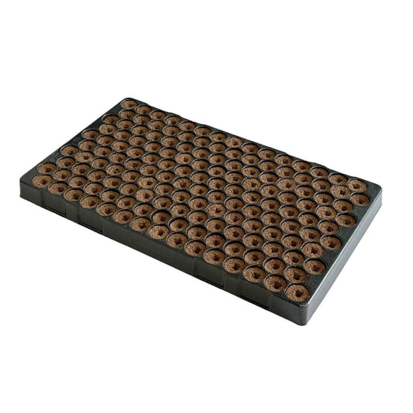 Eazy Plugs - Stecklingstray - Grow Factory