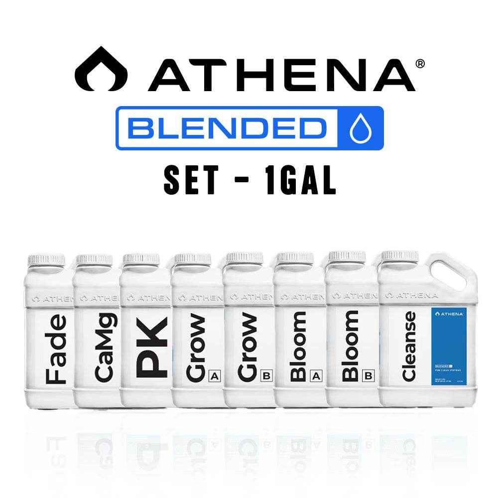 Athena Blended Line Set - 1GAL