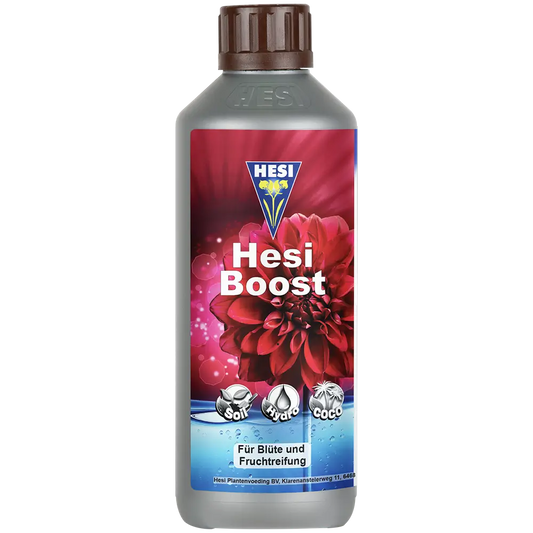 Hesi Hesi Boost