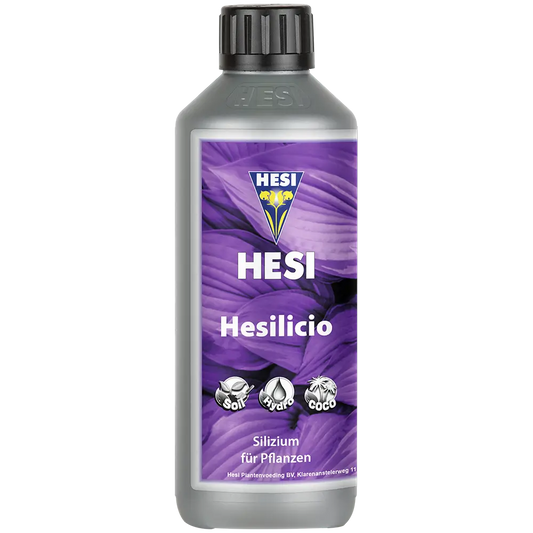 Hesi Hesilicio