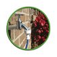 GrowMax Water Wasserfilter