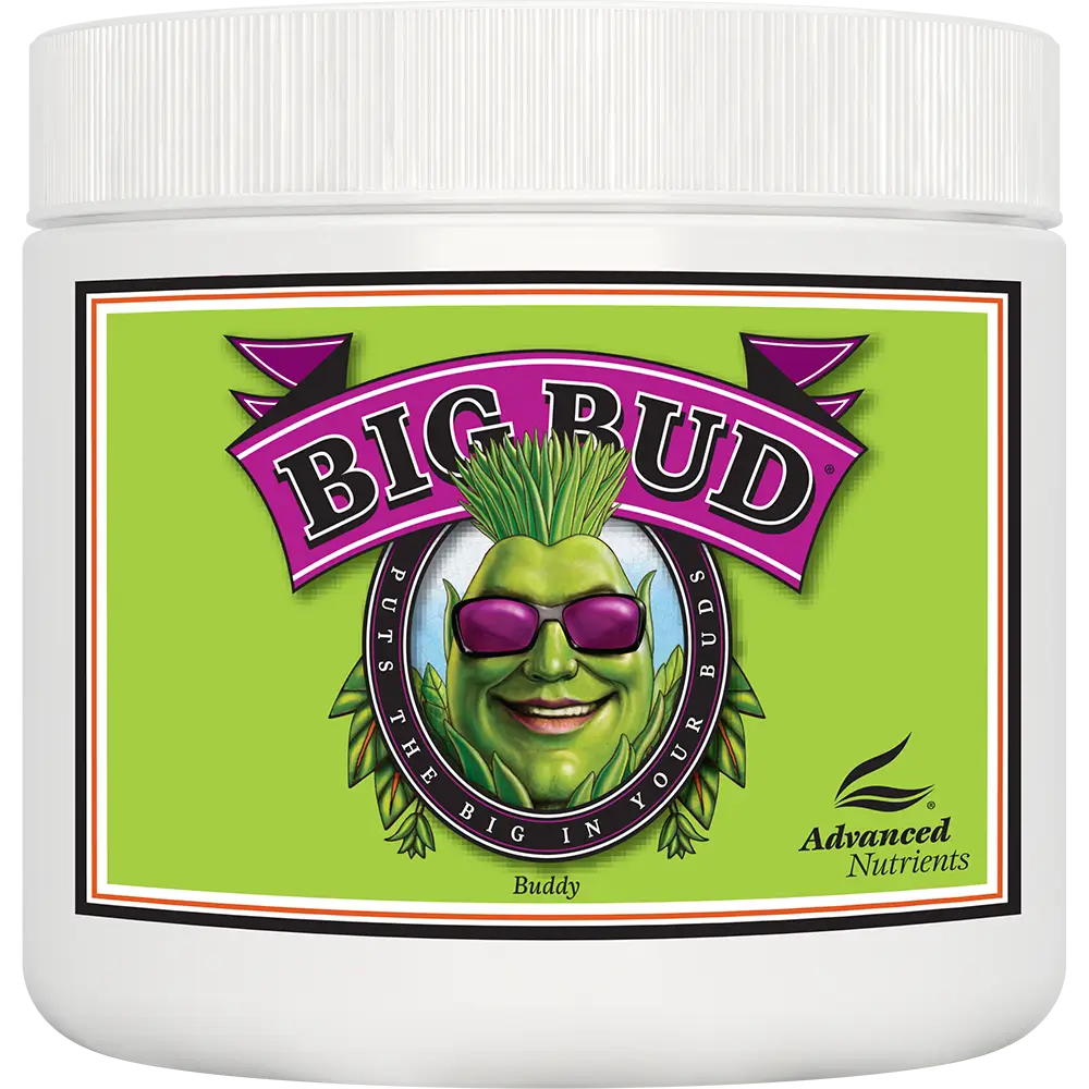 Advanced Nutrients Big Bud Powder