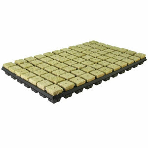 Grodan - Stecklingstablett - Grow Factory