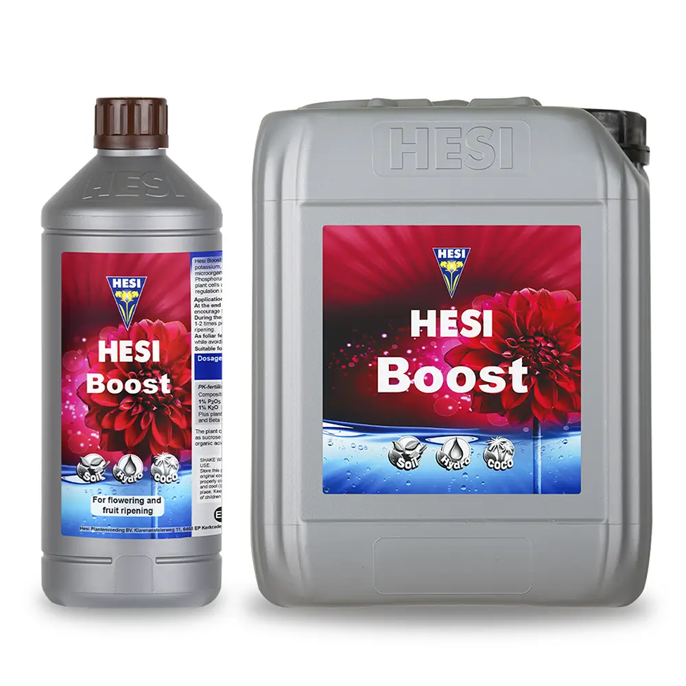 Hesi Hesi Boost