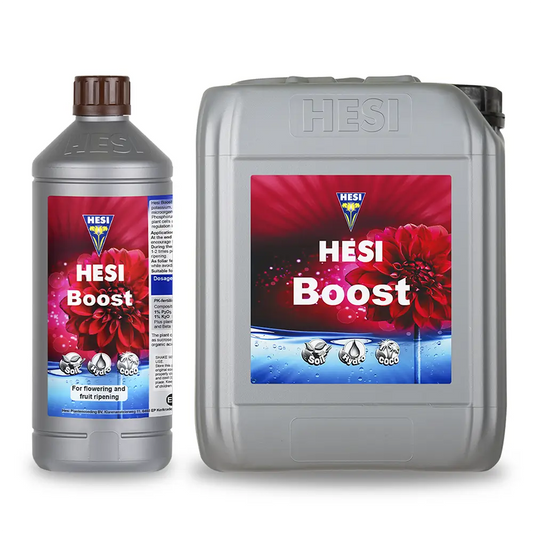 Hesi Hesi Boost