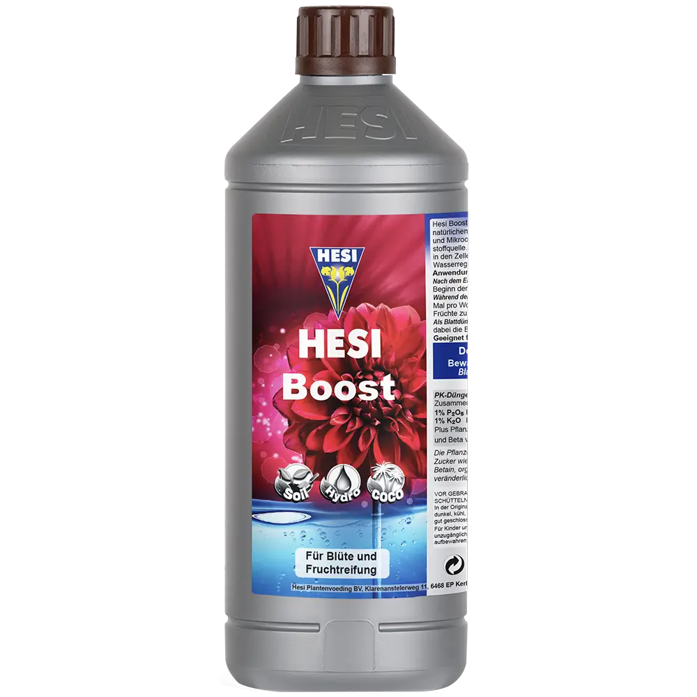 Hesi Hesi Boost