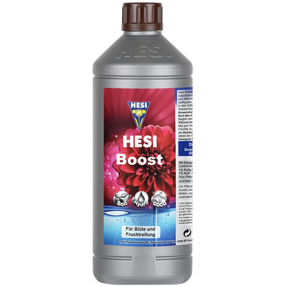 Hesi Hesi Boost