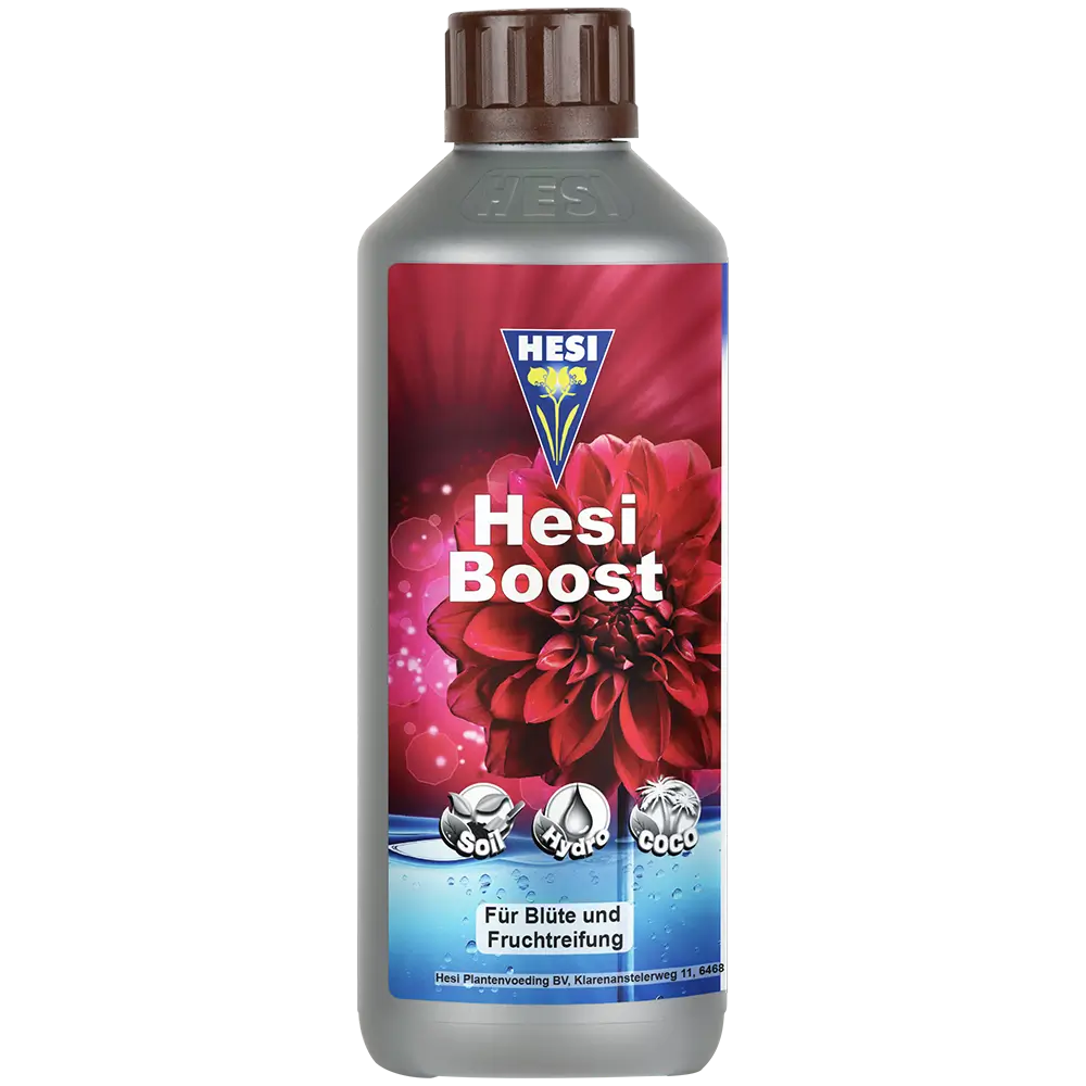 Hesi Hesi Boost