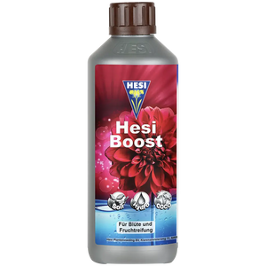 Hesi Hesi Boost
