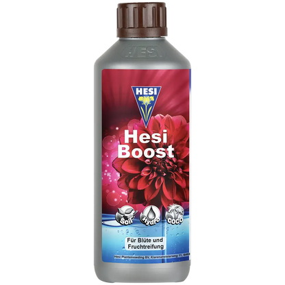 Hesi Hesi Boost
