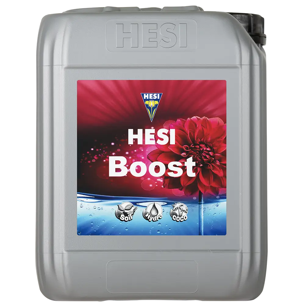 Hesi Hesi Boost