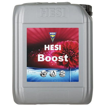 Hesi Hesi Boost