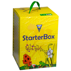 Hesi Starter Box Erde