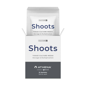 Athena Shoots 10 Stk.