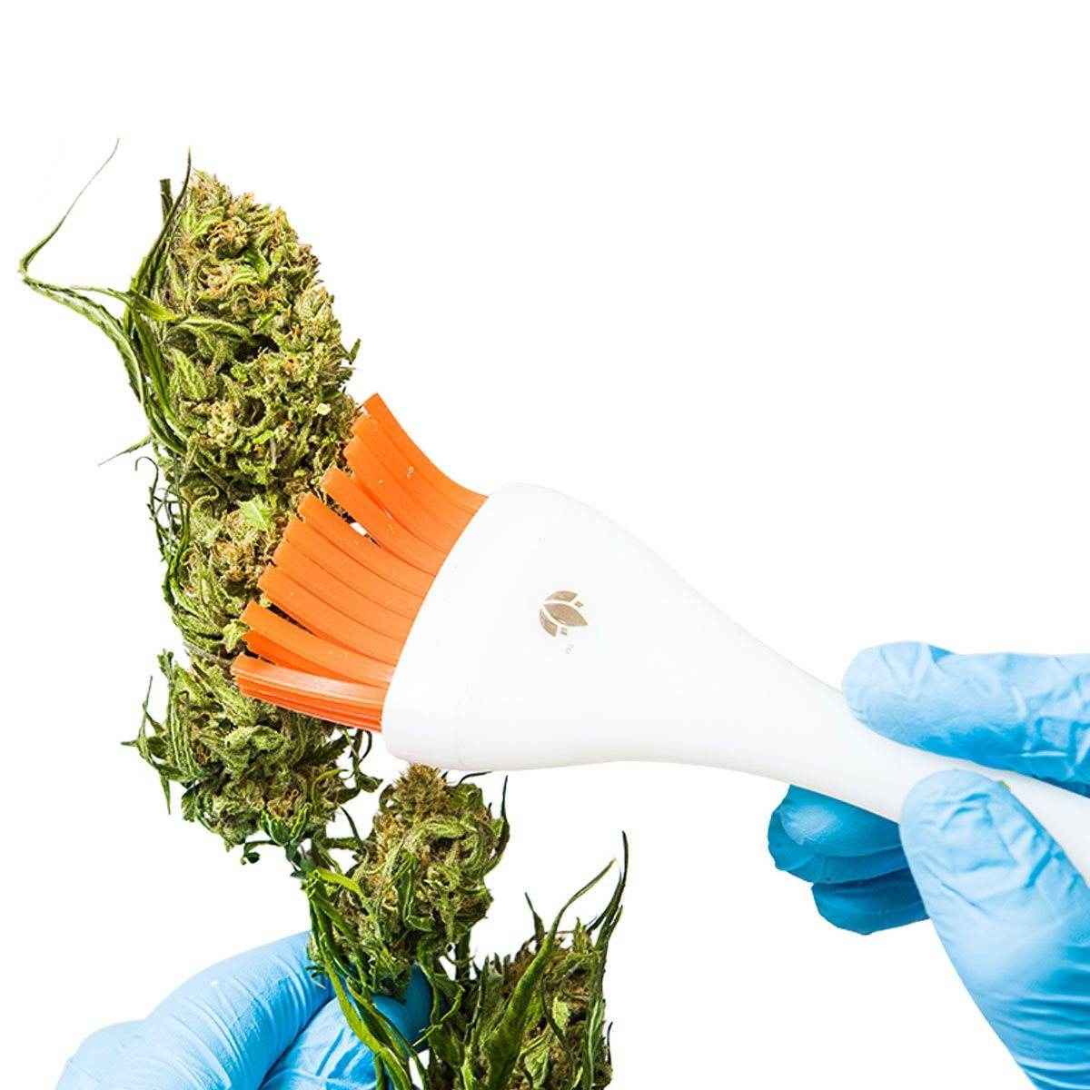 CannaBrush Trimming Brush