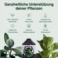 GreenBull® Pflanzen-Booster