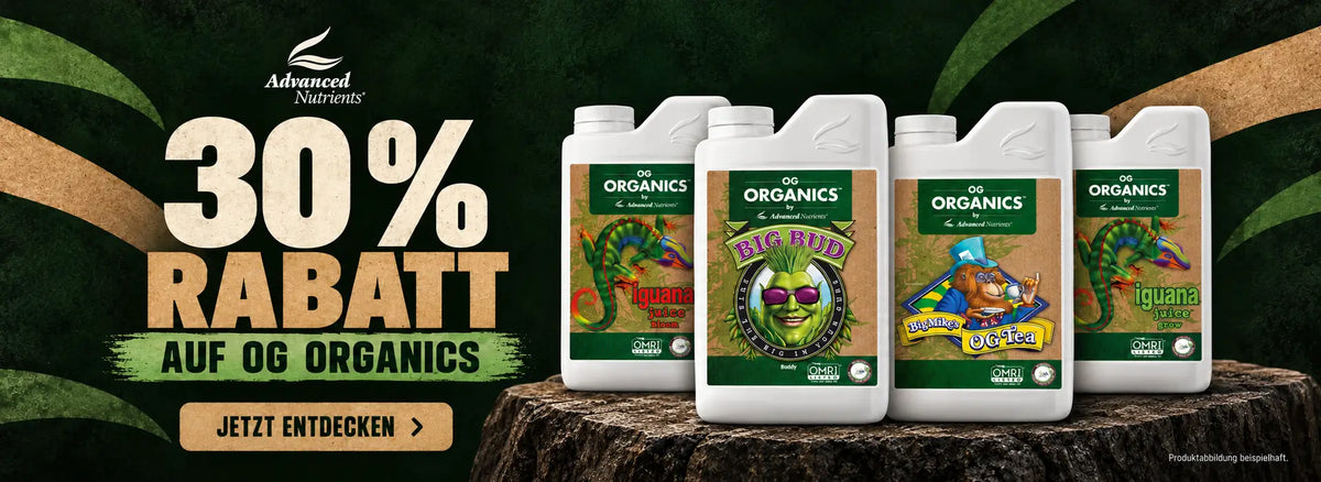 30 % Rabatt auf OG Organics von Advanced Nutrients: Iguana Juice Grow und Bloom, Big Bud und BigMike’s OG Tea vor dunkelgrünem Hintergrund.