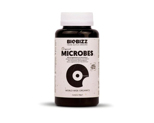 Biobizz Microbes